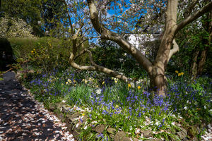 Whirlow Grove Whirlow